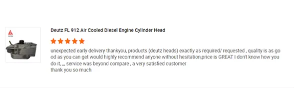 FL912 Alr Cooled Diesel Engine Cylinder Head for Deutz