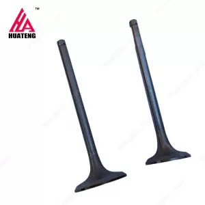 Diesel Engine FL912 FL913 Cylinder Head Intake Valve 04153631 Exhaust Valve 04153697 02237221 04159139 for Deutz