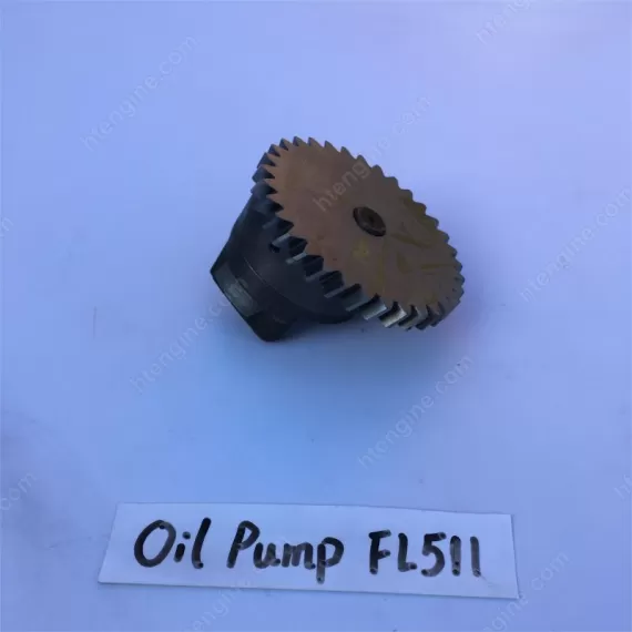 FL511 Oil Pump 04191262 02233688 for Deutz