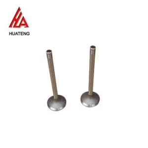 BFM1013 Exhaust Valve 04255255 04283381 04289248 Inlet Valve 04255254 04283380 04289247 for Deutz
