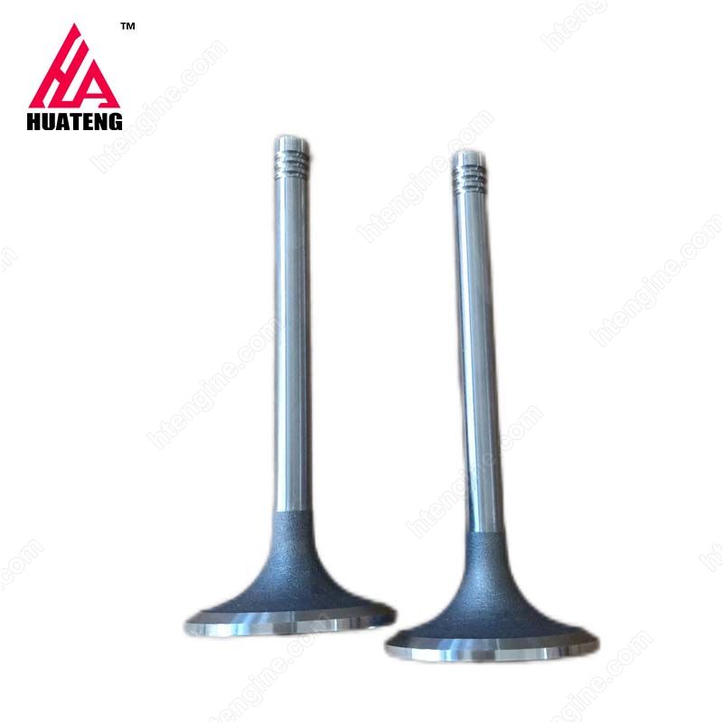 Weichai 226B Inlet valve 12159606