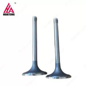 Weichai 226B Inlet valve 12159606