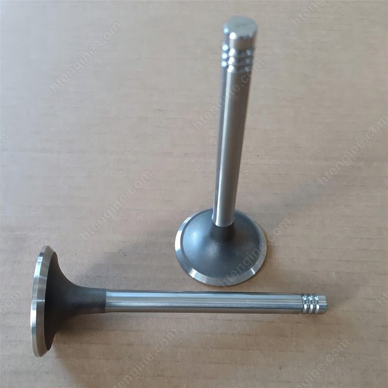 Weichai 226B Exhaust valve 12159608