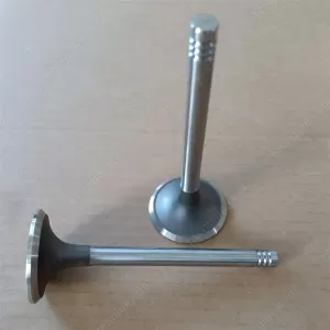 Weichai 226B Exhaust valve 12159608