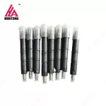 TCD2015 V06 Diesel Engine Parts Fuel Injector 0426 3304 04263304 for Deutz
