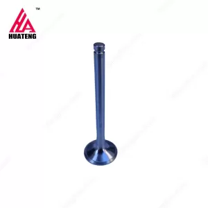 Intake valve 612600050073 for Weichai WD618C WD12