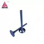 Intake valve 612600050073 for Weichai WD618C WD12