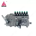 F6l914 Parts Fuel Injection Pump 04234863 for Deutz