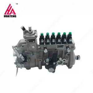 BF6L914 Fuel Injection Pump 04234301 for Deutz