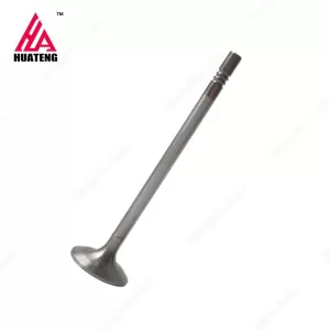 TCD2013 L04/L06 4V Inlet valve 04903005 04900685 for Deutz Engine