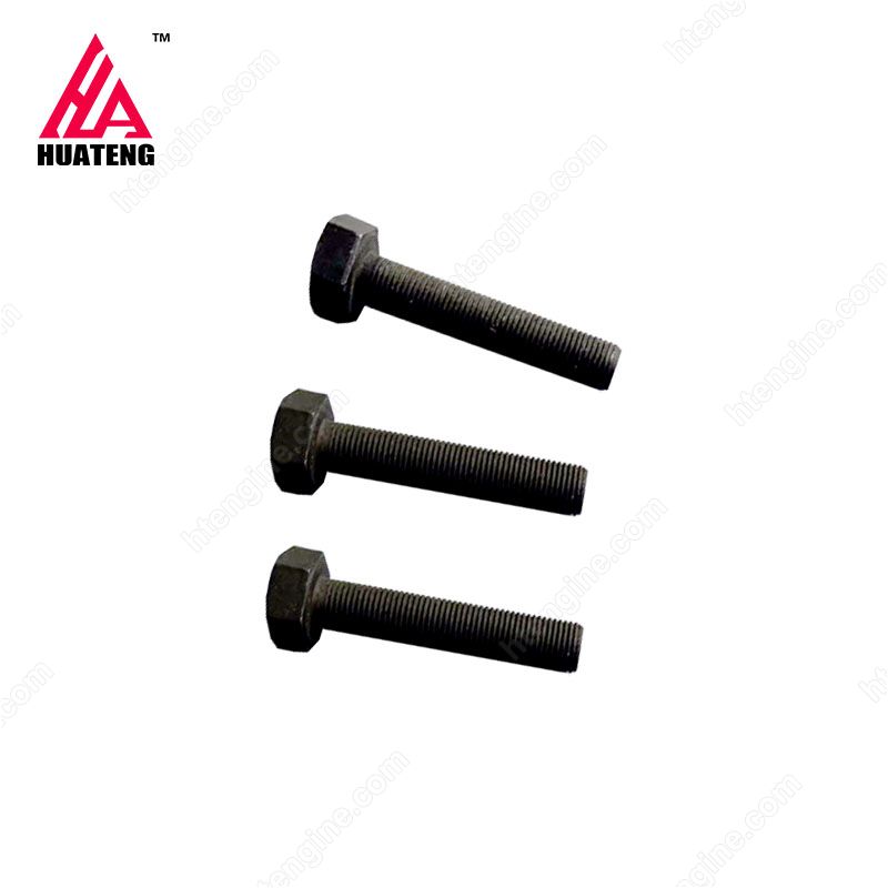 tcd2013 Fywheel Hexagon Bolt