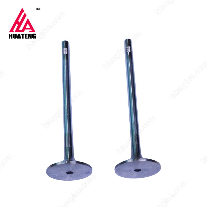 TCD 2013 Inlet valve 04903005 For Deutz