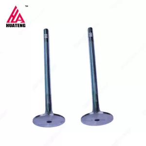 TCD 2013 Inlet valve 04903005 For Deutz