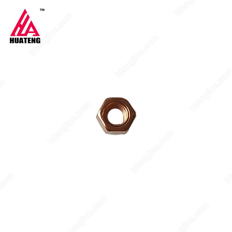 TCD2013 Hexagon nut 01182036 For Deutz