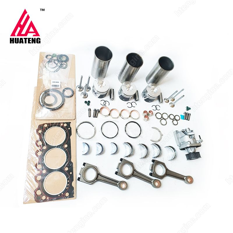 BF3LM1011 Overhaul Kit