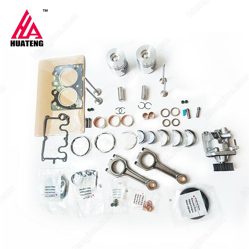 bf2lm1011 Overhual Kit