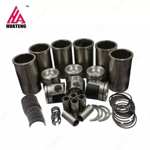 BF6M1015 Overhual Repair Kit for Deutz