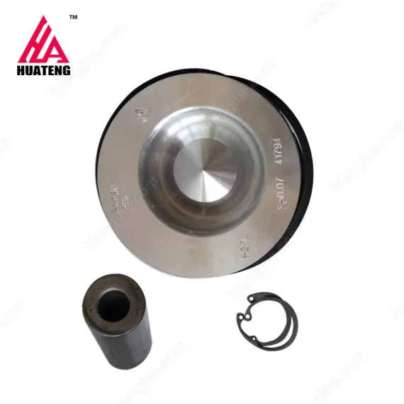 Original TD2.9 Diesel Engine Parts Piston kit 04134464 for Deutz