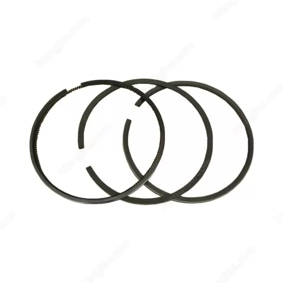BFM1015C/P Set of Piston Rings 04260929 04225599 04226172 04260921 for Deutz