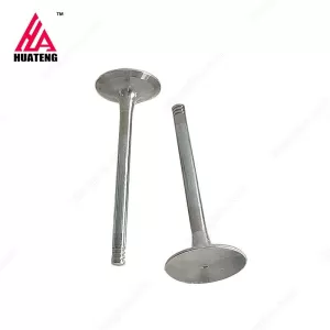 TCD3.6 L4 Inlet Valve 04124018 for Deutz