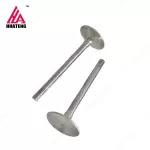 TCD3.6 L4 Exhaust Valve 04124019 for Deutz
