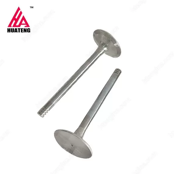 TCD3.6 L4 Exhaust Valve 04124019 for Deutz