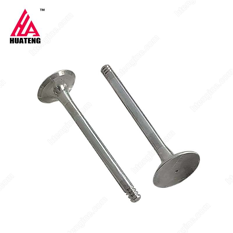 TCD3.6 L4 Exhaust Valve 04124019 for Deutz