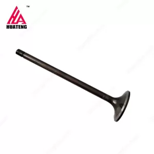 Diesel Engine Valve Inlet 6150-42-4110 For Komatsu 6d125 D85 D87 Engine Parts