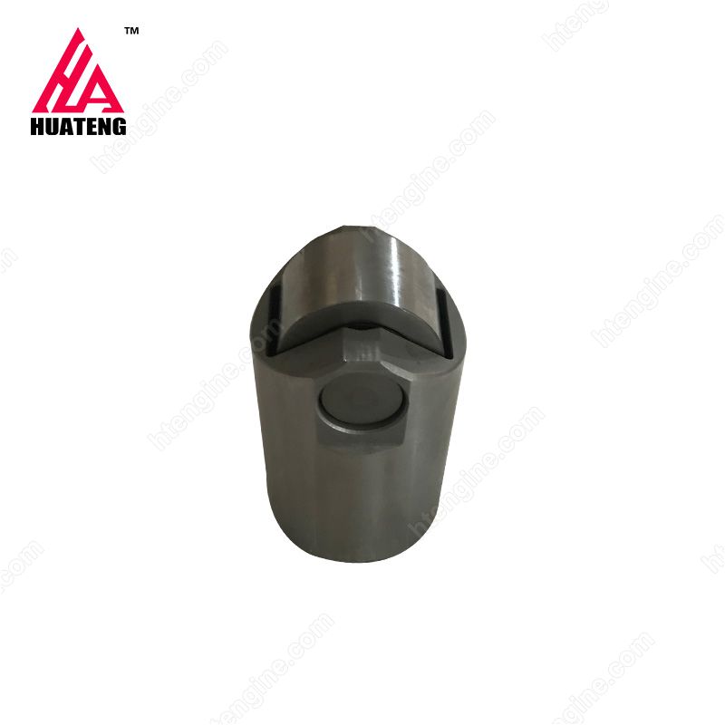  2012 2013 Roller Tappet