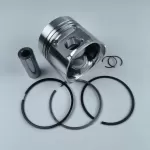 FL1011F F2M1011 diesel engine parts piston kit set assy for deutz piston set