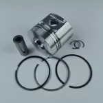 FL1011F F2M1011 diesel engine parts piston kit set assy for deutz piston set