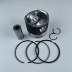 BF4L1011F BF4M1011 diesel engine parts piston kit set assy for deutz piston set