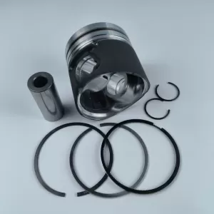 BF4L1011 diesel engine parts piston kit set assy for deutz piston set