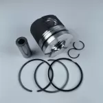 BF4L1011 diesel engine parts piston kit set assy for deutz piston set