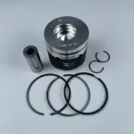BF4L1011 diesel engine parts piston kit set assy for deutz piston set