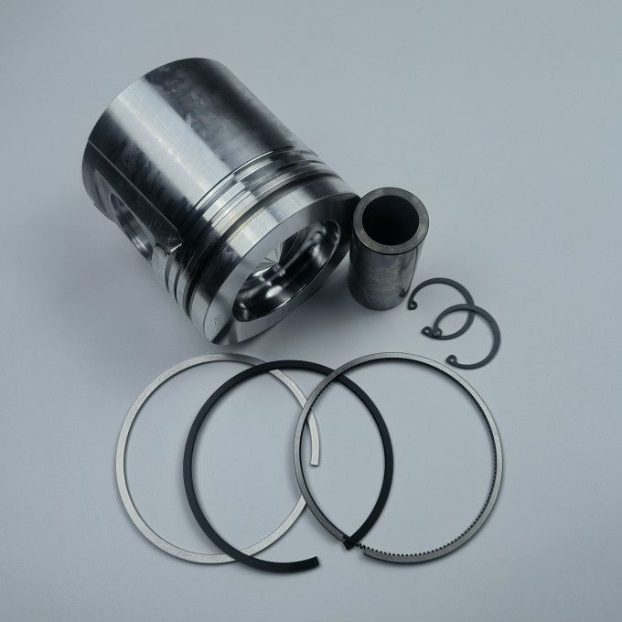 BFM1013 diesel engine parts piston kit set assy for deutz piston set