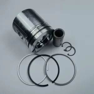 BFM1013 diesel engine parts piston kit set assy for deutz piston set