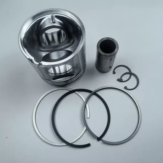 BFM1013 diesel engine parts piston kit set assy for deutz piston set