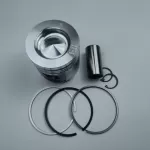 BFM1013 diesel engine parts piston kit set assy for deutz piston set