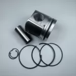 BFM1015 diesel engine parts piston kit set assy for deutz piston set