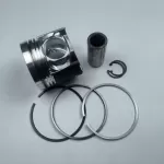 TCD2012 diesel engine parts piston kit set assy for deutz piston set