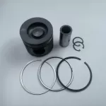 BFM2012 diesel engine parts piston kit set assy for deutz piston set