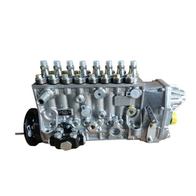 bf8m1015 fuel injection pumps