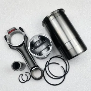 bfm1015 Overhaul repair kit