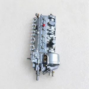 f10l413fw fuel injection pumps